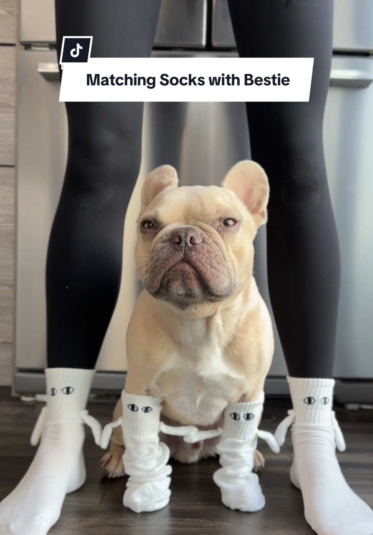 Here’s your sign to get matching socks so you can hold hands with your fur bestie 💕 Inspo: @Winston🐾  #dogtok #kygothefrenchie #matchingsocks #itsmekygo #frenchie #frenchbulldog #puppylove #buhi 