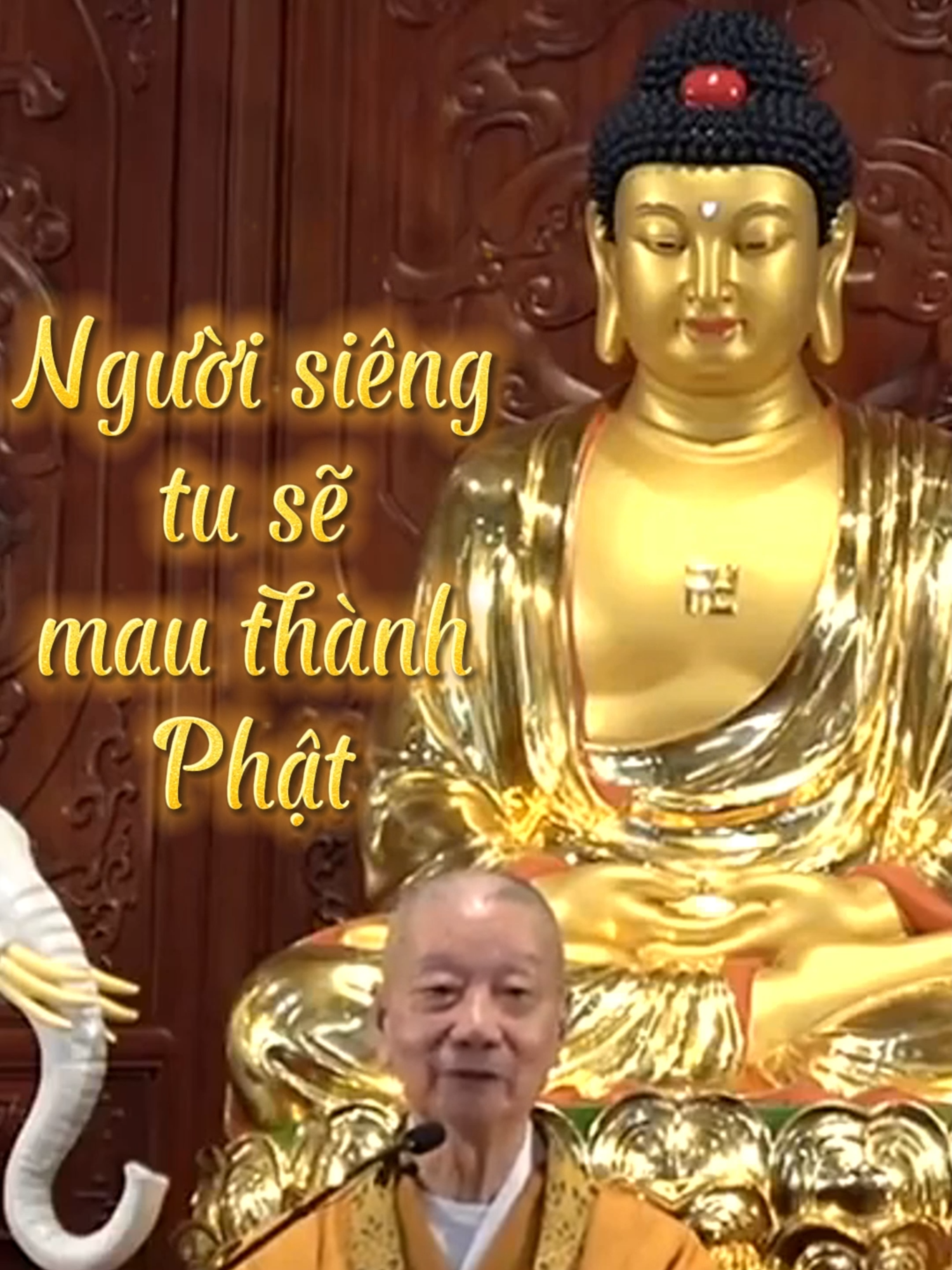 Người siêng tu sẽ mau thành Phật. Hòa Thượng Thích Trí Quảng khai thị #thichtriquang #hoathuongthichtriquang #nghephap #tutap #phatphap #phatgiao #daophat #daotrangphaphoa