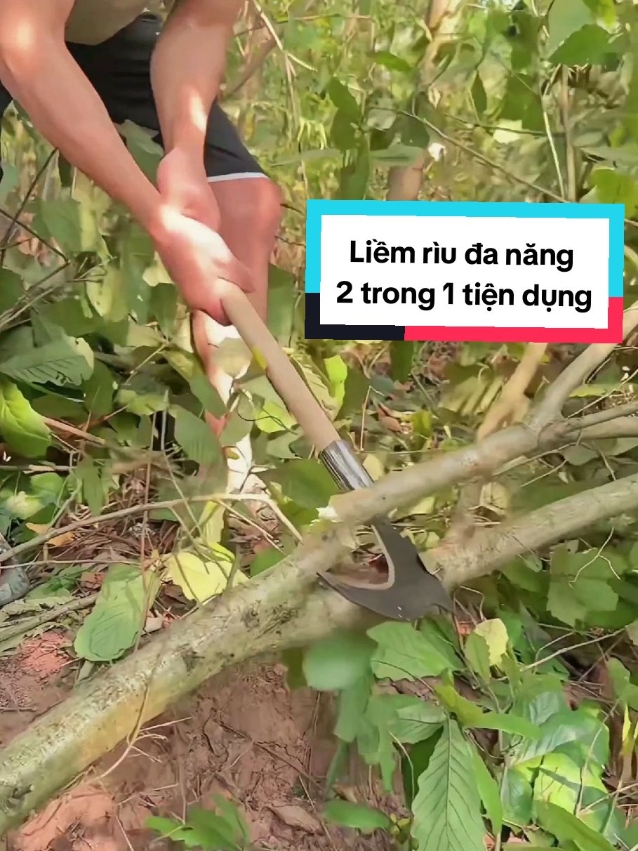 Liềm rìu đa năng 2 trong 1 tiện lợi, vừa dùng liềm, vừa dùng rìu giúp cắt cỏ, phát quang bụi rặm, chặt cành,... đơn giản, dùng làm vườn, dọn cỏ, tạo ổ đi câu cá cũng tiện,...dài 60cm, tay cầm chắc chắn, bác nào cần thì tham khảo mua về dùng nha, cảm ơn các bác #liem #riu #liemriudanang #lamvuon #cauca #cadong #lamco #catcanh #xuhuong #chatcay 