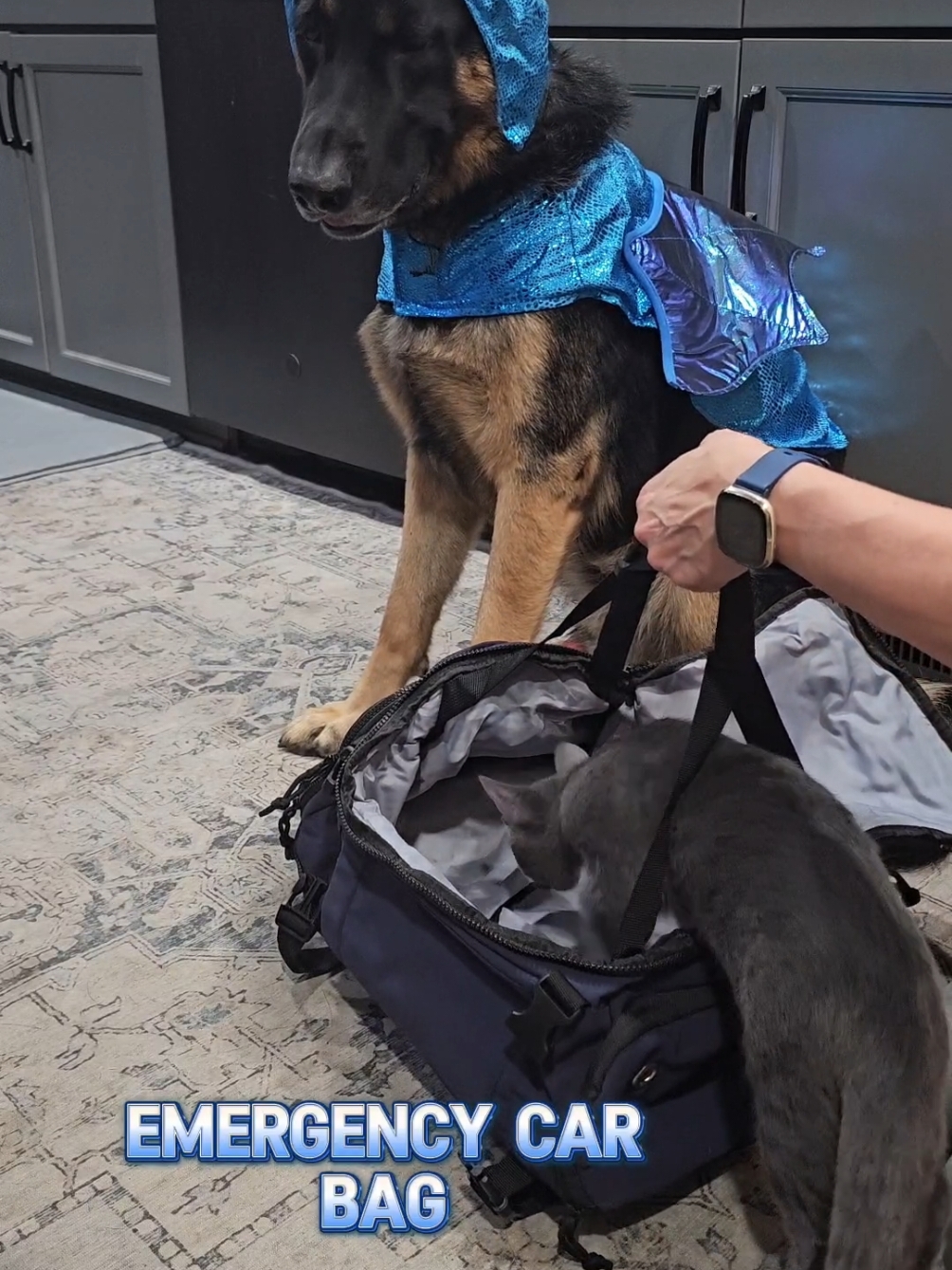 This bag is amazing! Great light weight travel bag. Bluey had to join in the fun on this bag❤️✈️🚗🎒#AirplaneCarryon #EmergencyCar #SchoolBackpack #travel #waterproof #titantheshepherd 