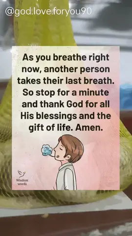 95ba9f80f4#pray#jesus#blessings#jesuloveyou💖😇🙏🏼#fyp#foryоu