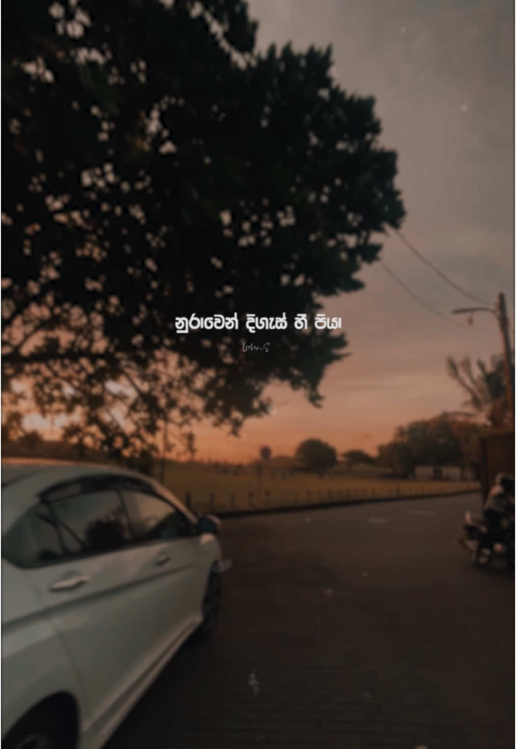 රෝස තොල්..♥️ #maadihaa #balapansobani #dilubeats #trending #ushan_s #fyp #foryoupage #lyricalvideo #viral @DILU Beats 