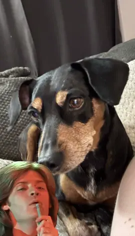 #Meme #MemeCut 