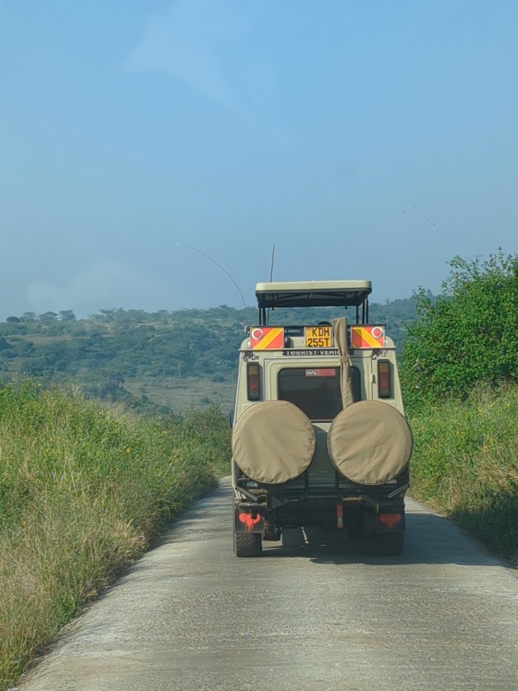 Whether as a group or individual, inbox us for game drive packages. #adventurenisisitours #gamedrivekenya #wildlife #nairobi #kenya #kenyantiktok🇰🇪 