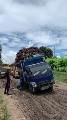 #trukkalimantan #sawitkalimantan #pesonatrukkalimantan #drivermudapunyacerita 