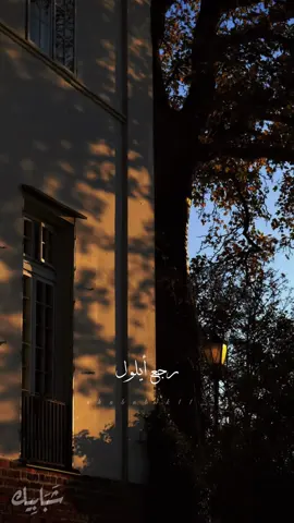 رجع ايلول 🎶♥️ #فيروز #فيروزيات #صباح_الخير #صباحكم_أحلى_صباح #كسبلورexplore #explorer #fairuz #صباح #صباحو #تصميم_فيديوهات🎶🎤🎬 #تصميمي 
