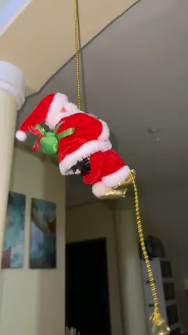 Christmas Decorations #christmasdecorations #santaclausclimbing #christmasdecor #christmasdecorating #fyp 