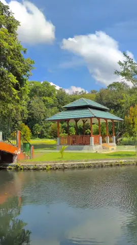 Video Aessthetic🎶🎶🍃🌳🌲🌿🌬️#video #aesthetic #tenang #view #alam #pemandian #selokambanglumajang #lumajang #epeyepe 