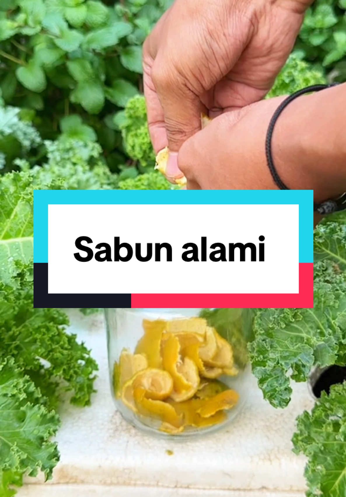 Cairan ajaib untuk pengganti sabun secara alami 🤭🥰 #infarm #infarmid #berkebun 