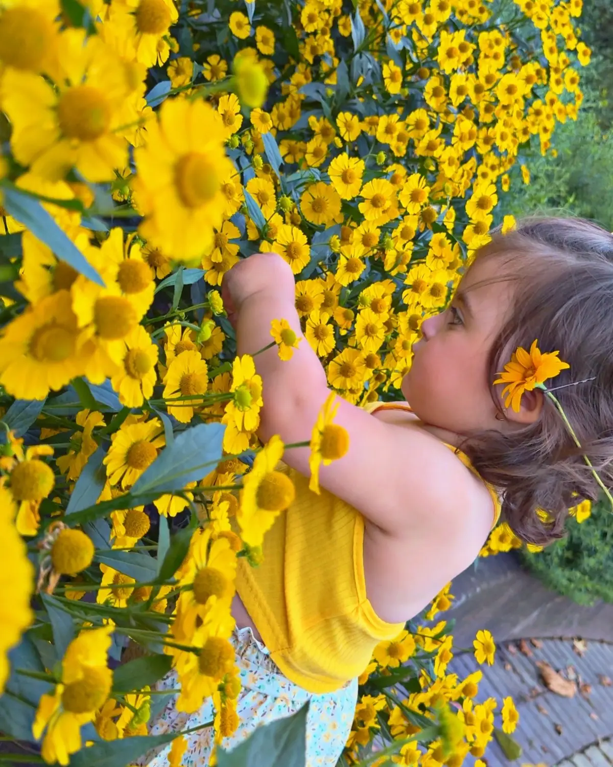 ماشاءالله🥹💛🌼 #fyp #fypシ #viral #baby #mom #tiktok #perla #شعب_الصيني_ماله_حل #babygirl . #foryou #foryoupage #trending #اكسبلور  #shein #sheinkids #modelbaby 