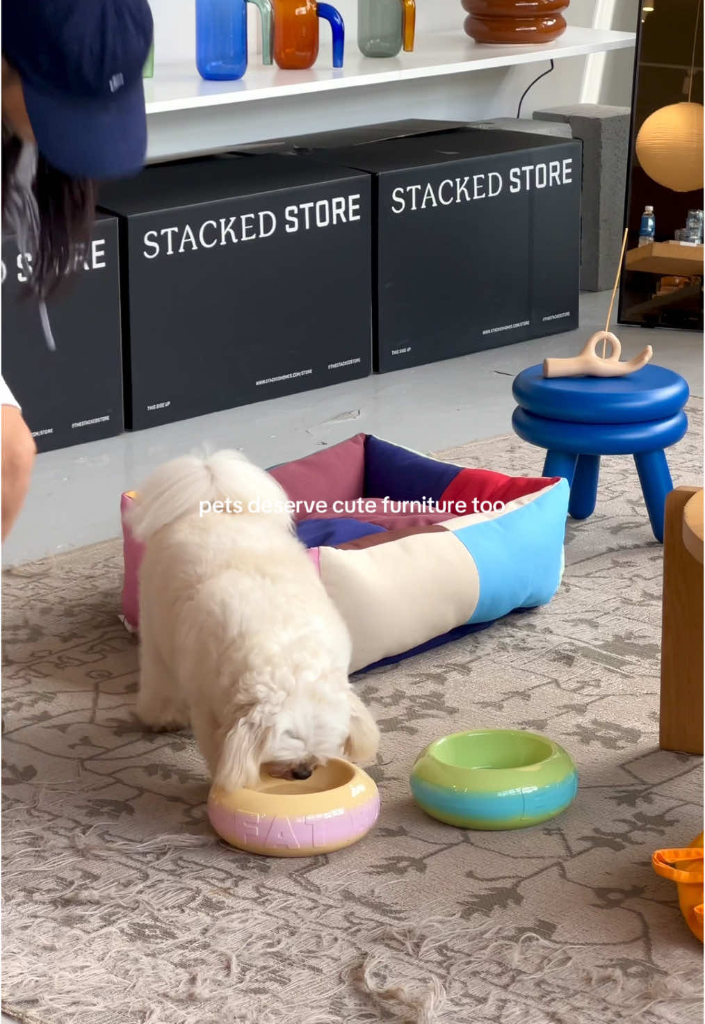 brb spending all my money on my dog🥹😮‍💨🐶