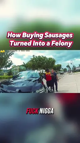 #cop #copsoftiktok #policeofficer #usa🇺🇸 #crime #viralvideo #foyou 