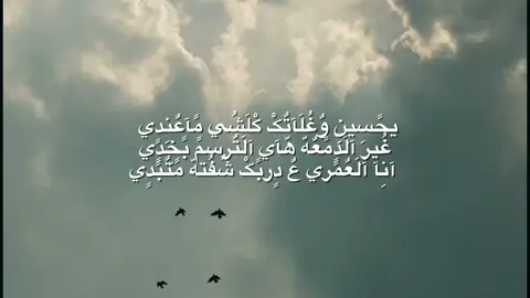 يحسين وغلاتك كلشي ماعندي 😔#اللهم_صل_على_محمد_وآل_محمد #محمد_باقر_الخاقاني 