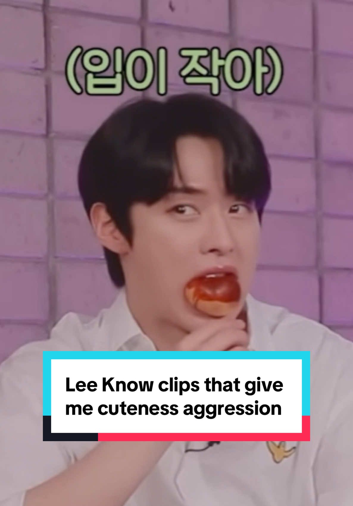 Lee Know cute core, aka clips that give me cuteness aggression 😍 Sources: 1. Mysterious Kitchen, Episode 2 2. The 9th, Season 1, Episode 1 3. Spot Kids: Black SKZ & SKZ Teaser Behind Clip 1 4. The 9th, Season 2, Episode 3 5. After School Club | Stray Kids’ Opening Mission Game 6. [벌칙영상] 리노 of 스트레이 키즈(Stray Kids) (feat. 승 민) 30초 동안 느끼멘트 쏟아내기 1[Day6의 키스 더 라 디오]IKBS 210302 방송 (I am so sorry 😭) 7. Two Kids Room | Bang Chan & Lee Know 8. Stray Kids’ Behind, Episode 5: Wolfgang 9. SKZ CODE Episode 22 10. SKZ CODE Episode 44 11. Lee Know on Lee Mujin Service 12. SKZ in New York City | 2024 STAYWeeK 13. Music Core 14. Maniac concert fancam 15. Fanmeet fancam 16. SKZmas HOME with Lee Know 17. Fanmeet fancam  #leeknowstraykids #straykidsleeknow #leeknow #leeknowiscute #leeknowcore