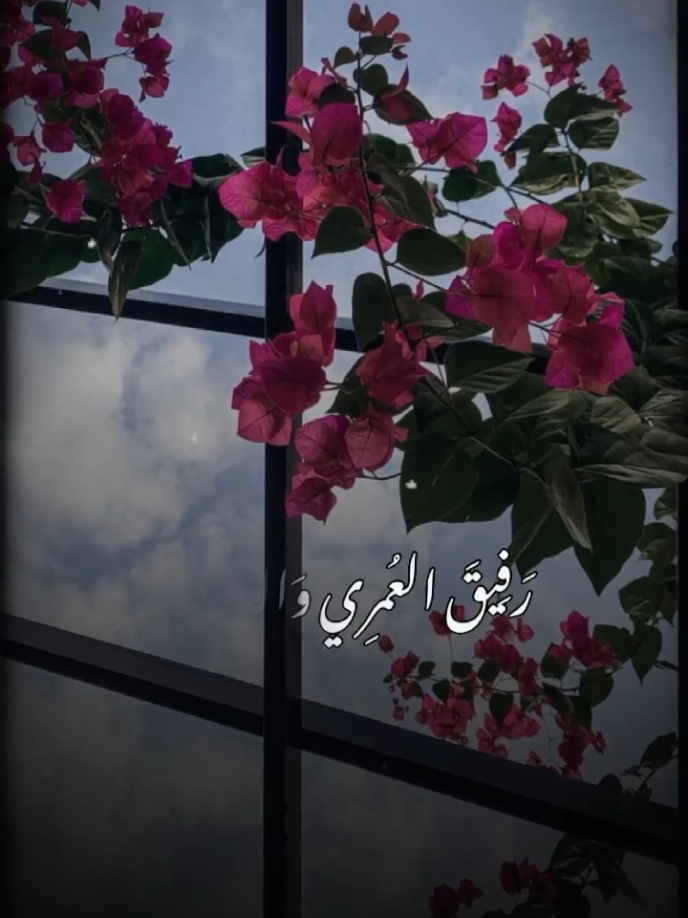 #CapCut #قوالب_كاب_كات_جاهزه_للتصميم #بدون_موسيقى #اكسبلورexplore #hana_abod21シ #💙 #foryou #🧸🖇️ #fyp 