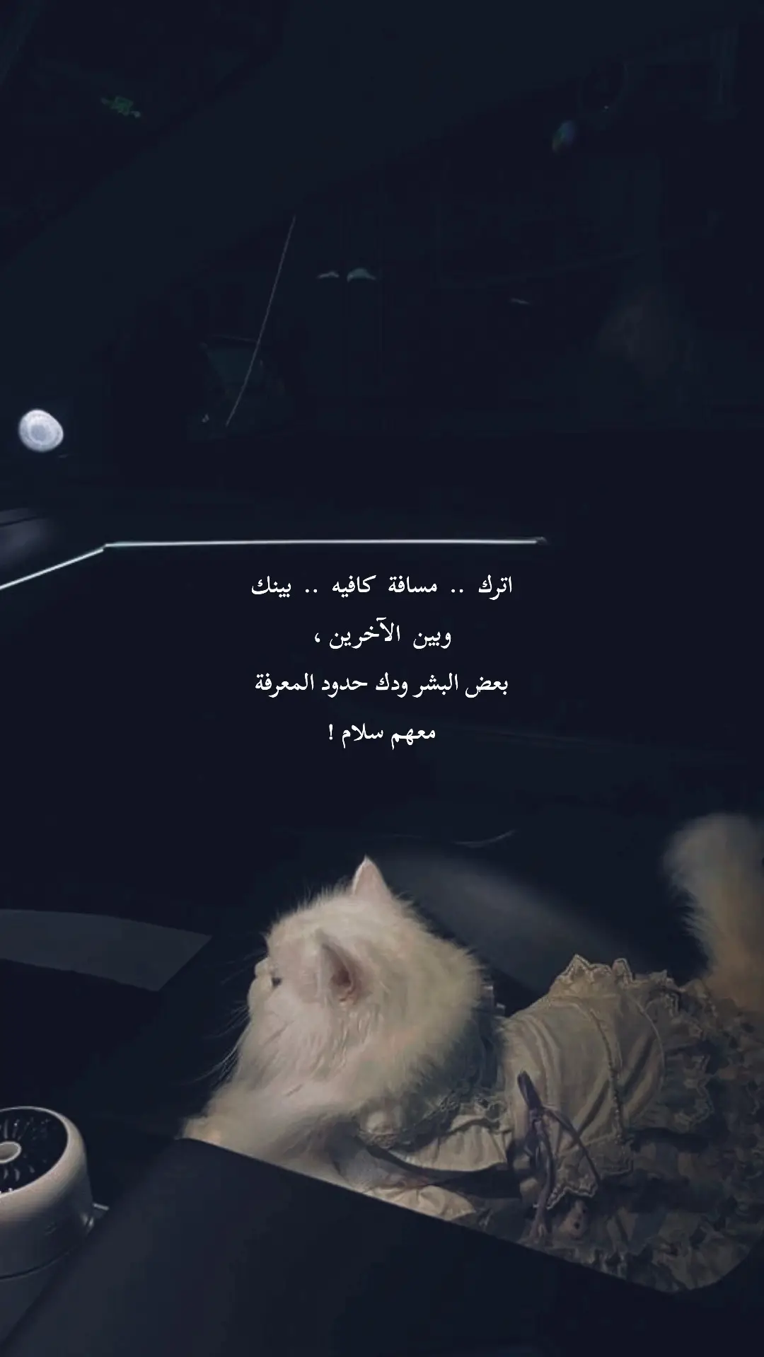 #رابح_صقر #♥️ 