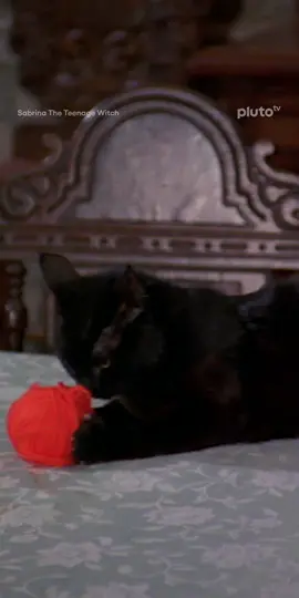 Me with my latest hyperfixation. Stream Sabrina the Teenage Witch for free on Pluto TV. #sabrinatheteenagewitch #catvideos