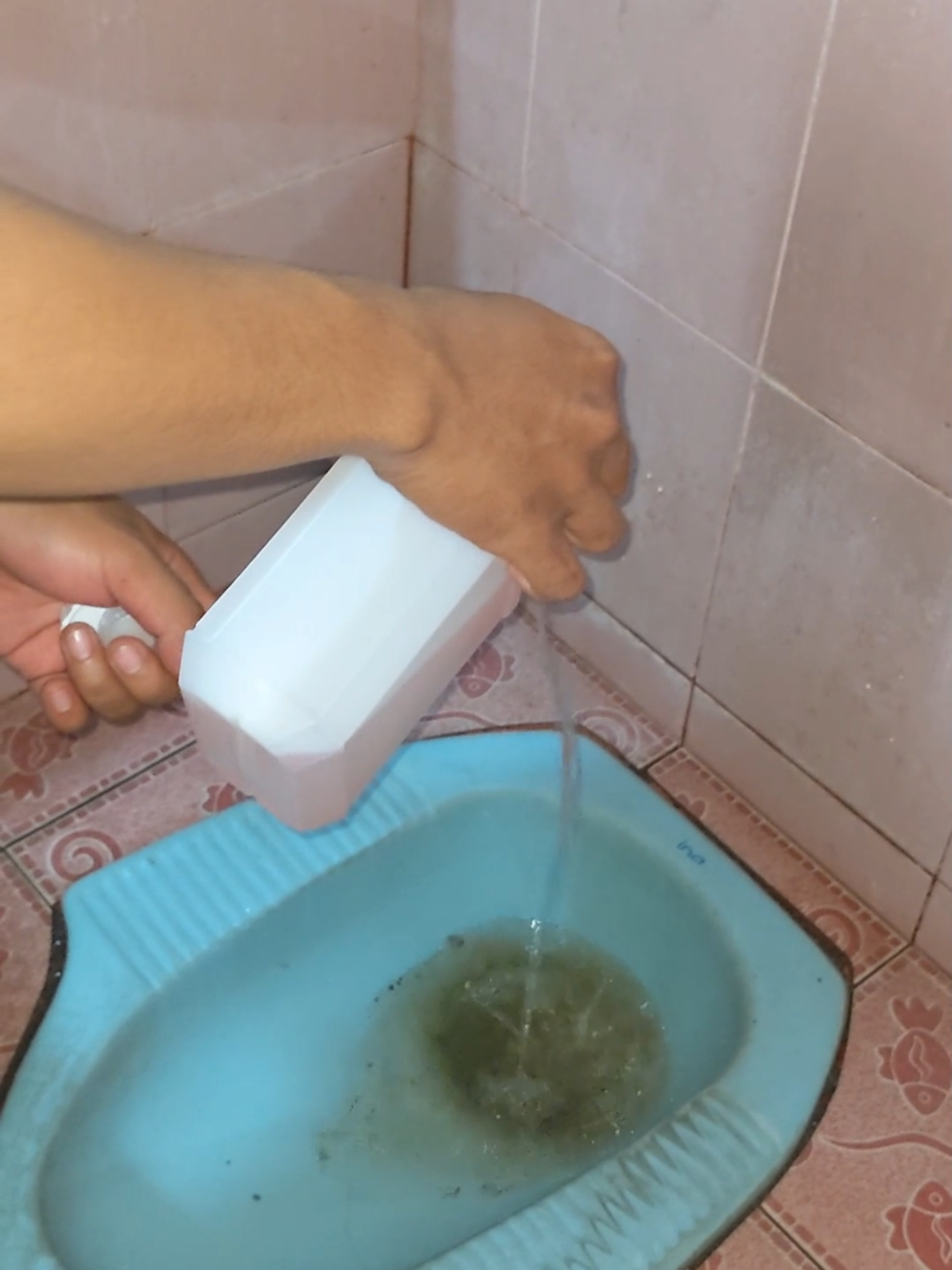 cara menangani sepiteng penuh dan wc sering mampet #sedotwc #penguraitinja #wcmampet #sepiteng