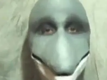 01100100 01101111 01101100 01110000 01101000 01101001 01101110