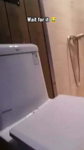 Wait for the end!! #suspense #funny #cat #fyp #foryou #hilarious #pet #scary