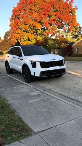 Leaves aint the only thing fallin @MR KIA 😏❤️#fyp #foryou #fypシ #4you #therapy #cars #carsoftiktok #kia #kiasorento #24 #2024kiasorento #sxxline #whiteonblack #sorento #kiasorentosx #sorentosxxline #fall #leaves 