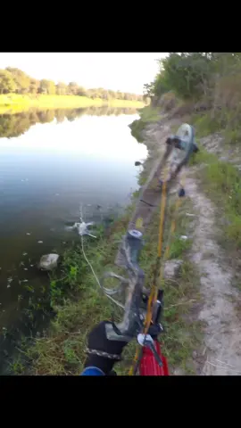 pesca de carpas. #bowfishing #texasfishing #fishingtiktoks #creatorsearchinsights #tiktokfishing #carpafishing 