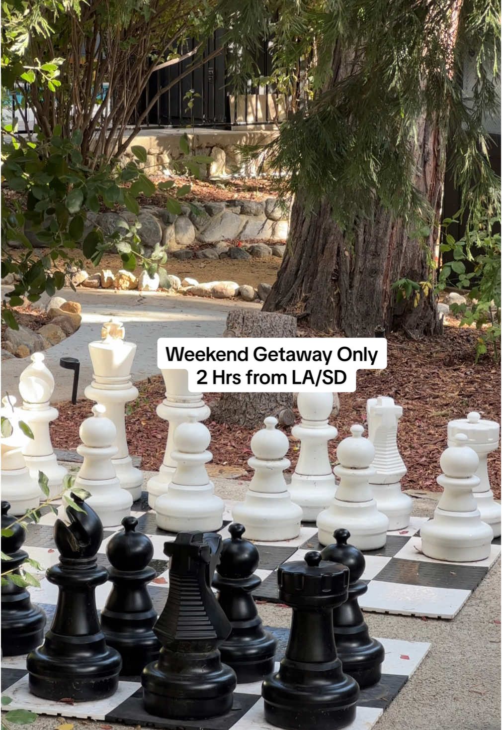 If youre looking for the perfect weekend getaway for couples or with a group of friends - visit Idylwild, California! The cutest little mountain town just two hoirs from LA.  Here are our recommendations- Stay: Eleven Cabins  Coffee: Alpaca Coffee + Tea Hike: Ernies Trail or Devils Trail Drink: Idyllwild Pizza Company #getaway #fall #travel #weekendtrip #travelcouple #fallgetaway #idywilld #mountain #californiaadventure 