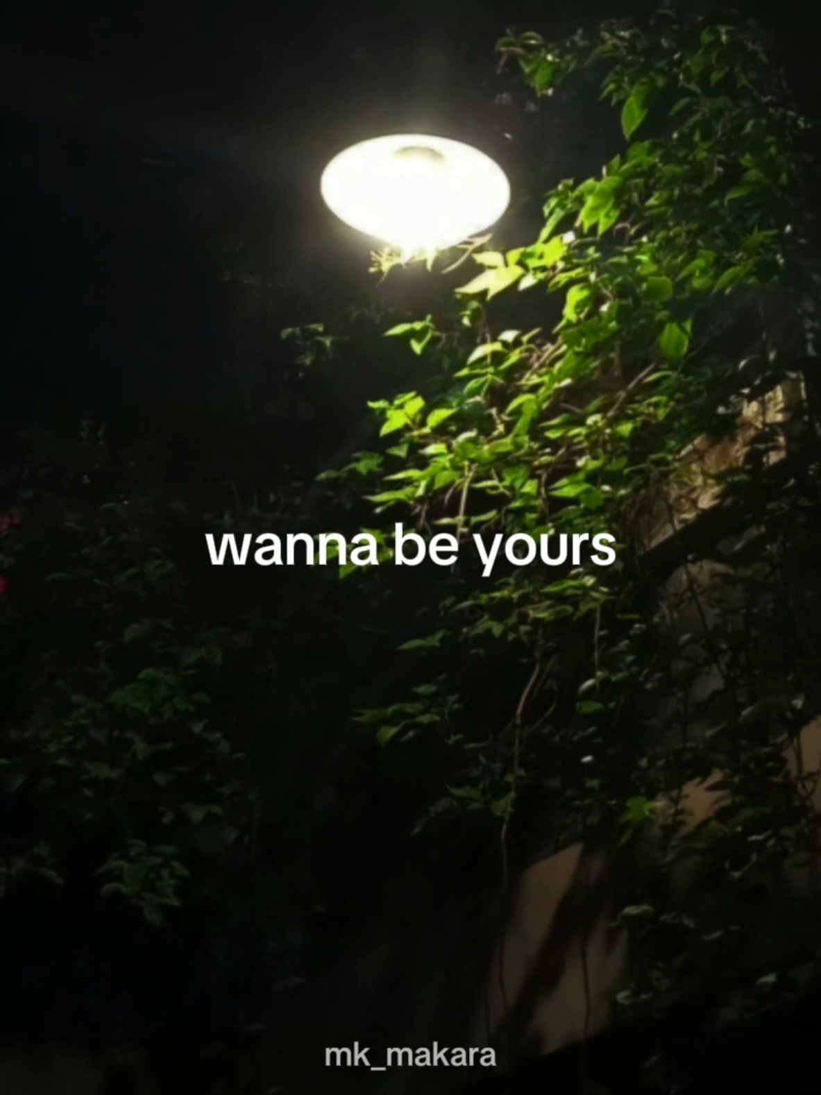 wanna be yours >>> #wannabeyours #lyrics #music #song #overlay #night #fyp #foryou 