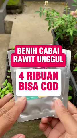 Buat kamu yang pengen menanam cabai rawit setan di kebun rumah, yuk cek out sekarang. #benih  #benihcabai  #benihcabairawit  #belilokal  #benihsayuran  #cuantanpabatas  #caberawit  #berkebun  #berkebundirumahaja  #fyp 