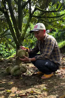 Chuc mọi người một ngày cuối tuần tràn đầy năng lượng, kho nao cho gia em giao nè 