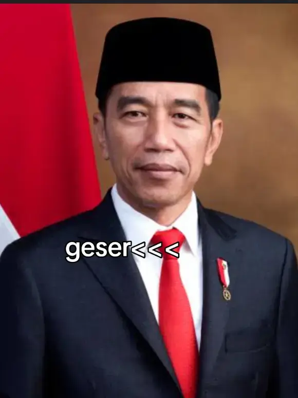#viraltiktok #jokowidodo #dadapakjokowi 