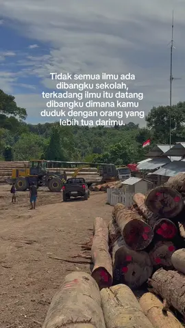 #fypシ #multisibolgatimber #operator #xcmg #shantui #kalimatbijak #mst 