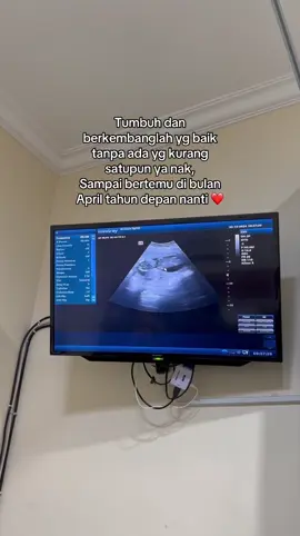 Masyaallah tabarakallah #hplapril2025🥰  #pregnant #bumilhappy #bumilsehat #fypシ゚viral #masyaallahtabarakkallah❤❤❤ #fypシ #fypシ 