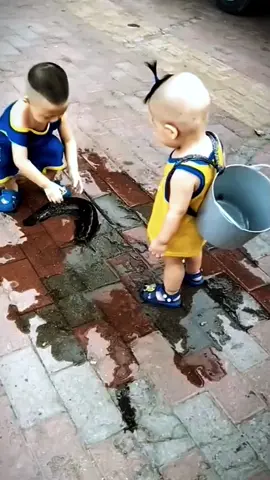 Baby funny short vedio🤣🤣 2#CapCut #cutebabies #funnyvideos #ha #funnybaby #TikTokfunny #fyp #babiesfunny #TikTok #viral #lovebaby #foryoupage #shorts #video #cute #socute #sofunny #viralfunny #funny #babies  #socute #America #Switzerland #funnyvideosAli #waleed_mdz #kids #kidsfunny #mdz #united State #Netflix #America #drole #funny #bebedrole #babyfunny #bebedroles #bebemignon #videofunny #videodrole #Tiktokdrôle #vidéosdrôles #MomentDrôle #FunnyTiktokvideos #bébé #bebe