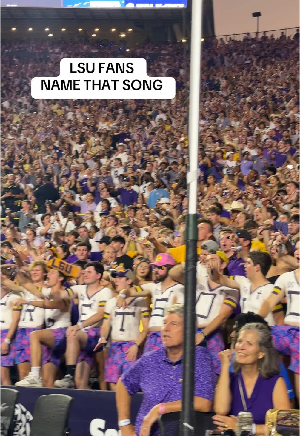 LSU sings Neck in Tiger Stadium! 