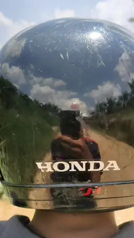 sini main ke Kalimantan 🦕🦖