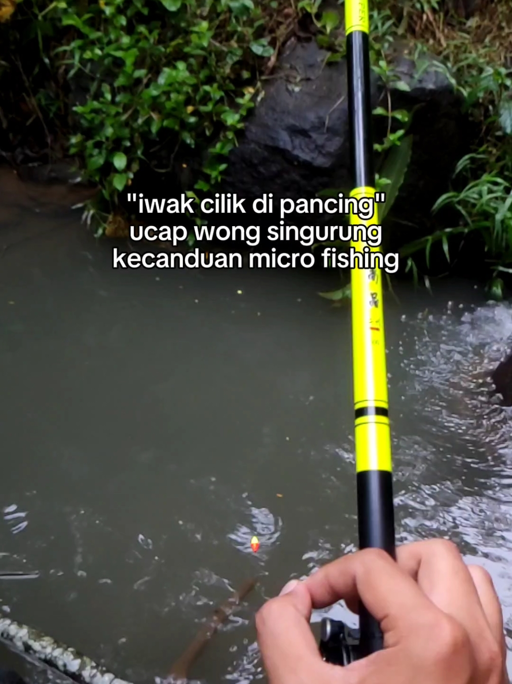 iwak cilik yo eben . . #CapCut #microfishing #yehangsuper #tegekyehang  #waderhunter  #pencari_spot 