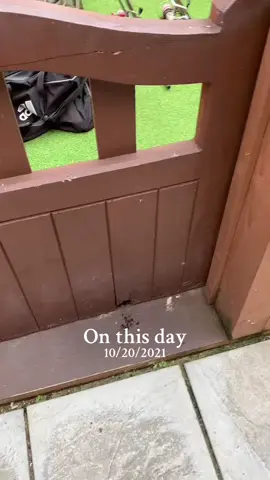 #onthisday 