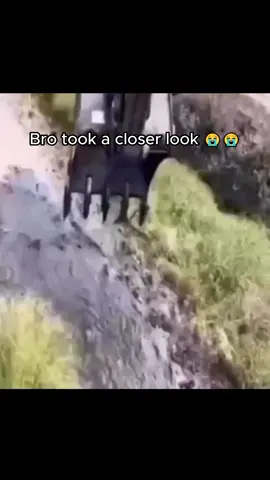 🐊: 