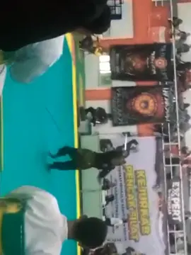 #pencaksilatindonesia#kejuaraanpencaksilat #ipsi#senitunggalputri#shter#psht
