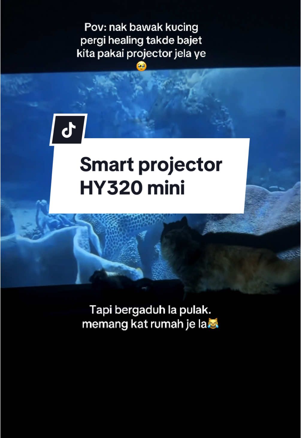 Smart projector ni takyah pasang wayar ke laptop dah tau. Boleh direct play YT, Nflx. Kalau setup projector ni kucing2 saya mesti dah tunggu depan dinding! Dasar kucing rosak! Kalau nak jugak boleh check kat beg kuning! #smartprojector #hy320mini 