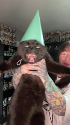 Me when i was a baby 🥳 #mewheniwasababy #funny #please #haha #meme #dance #shewasafairy #fly #cat #cats #blackcat #car #blackcats #blackcatsaregoodluck #aww #cute #birthday #teefs #void #voidcat #Love #adorable #halloween #halloweencat #halloweendecor #spookyseason #spooky #relatable #baby #furbaby #happy #catmom #catlady #tattoos