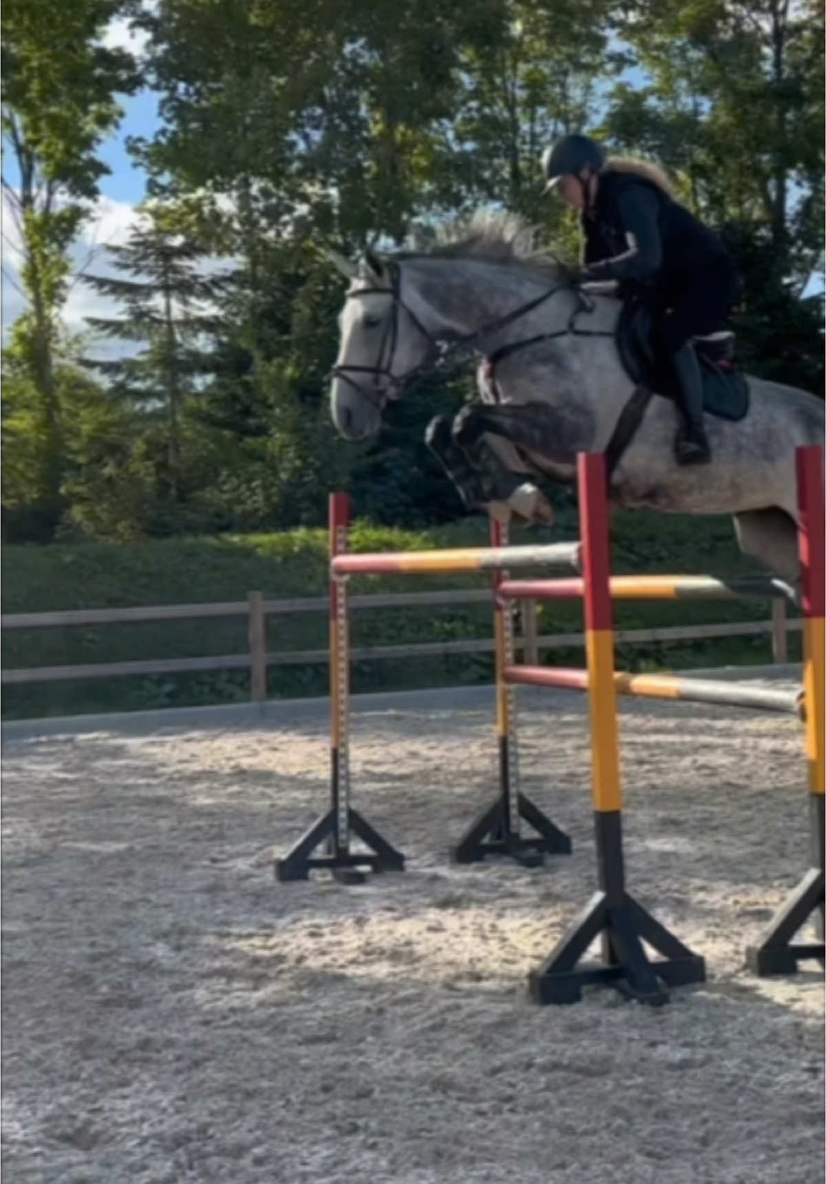 Me and dior jumping 175 cm🤍 #foryou #foryoupage #fyp #viral_video #somaliland #somalitiktok #horse #showjumping #greyhorse #mare #dior #missdior #mitknækcancer 