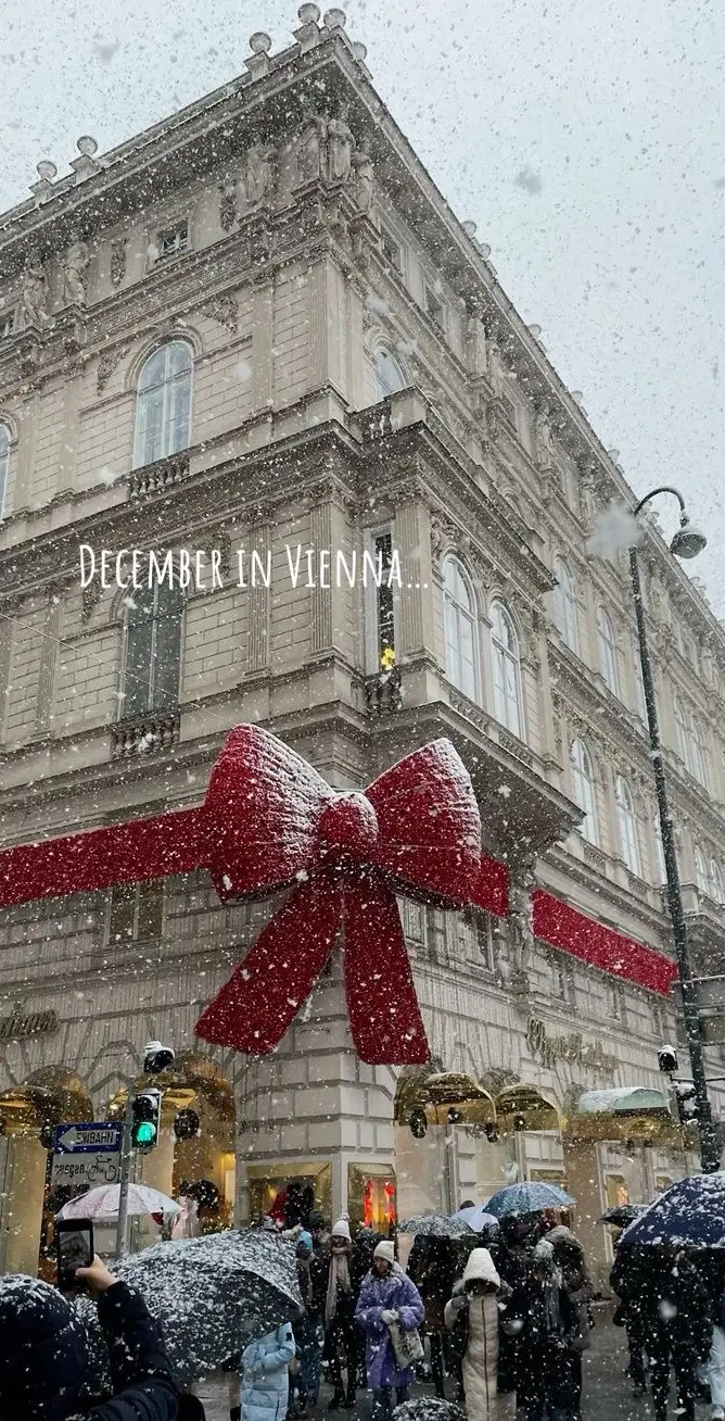 📍Vienna… #vienna #december #christmas #winter #fyp 