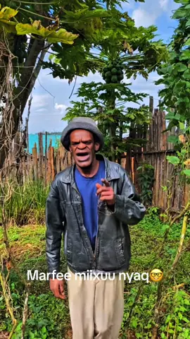 Marfee miixuu nyaq itti godheka gurbaan🤪🤪 please copy link 🙏 #oromotiktok #ethiopian_tik_tok #fyp #foryoupage #foryou  @GAMMADAA RAGO  @Rache Tesfaye  @abi go 