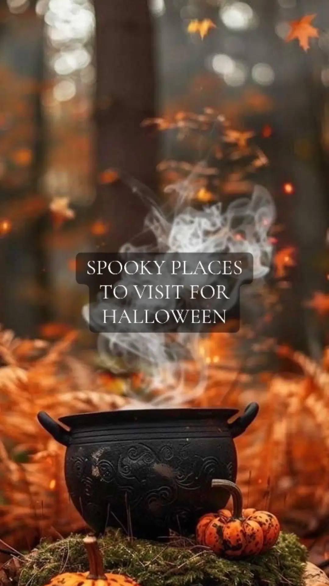 Places to visit for Halloween #halloween #fall #trip #vacation #travel #spooky #spookyseason 