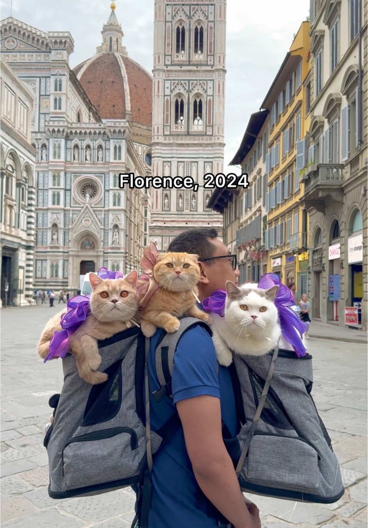 Sponge Cake, Mocha, and Donut are the best travel companions #catsoftiktok #PetsOfTikTok #cats #cat #travel #paris #italy #catlover #cattok 
