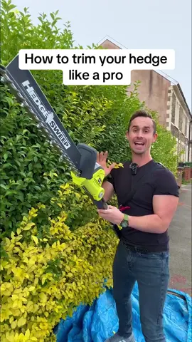 There are 5 things you want to get right when you're trimming your hedge - so here's what you need to know 1: Sweep up. You always see people sweeping down which has a higher chance of trimming your leg than the bush, you want to sweep up which will also help you to get the right shape. 2: Always start at the bottom and work up so you can maintain a straight, even line. 3: You want it to be slightly narrower and wider at the bottom. That way light hits the hedge all over. 4: Use a hedge sweep to make sure all the clippings are captured so the top of your hedge doesn't look brown & it's easier to collect trimmings afterwards 5: after use give the bar a clean and spray with WD40 to keep moisture and rust away. @Ryobi Tools UK 