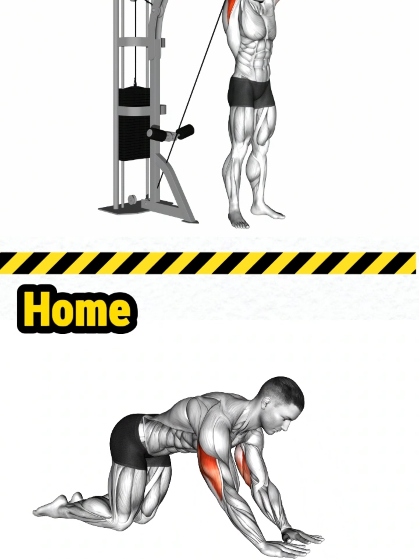 Discover how to target triceps, legs, abs and forearms at home with now equipments. #tricepsworkout #workout #gym #burnfat #HappyKarwaChauth #fitness #legsworkout