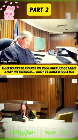 #court #courtroom #crime #judge #law #crazy #sovereign #usa #trending #foryou 